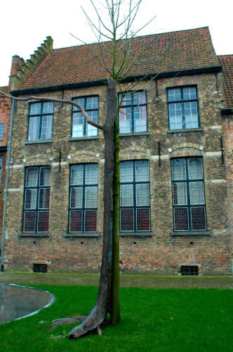 Pot belge à Bruges